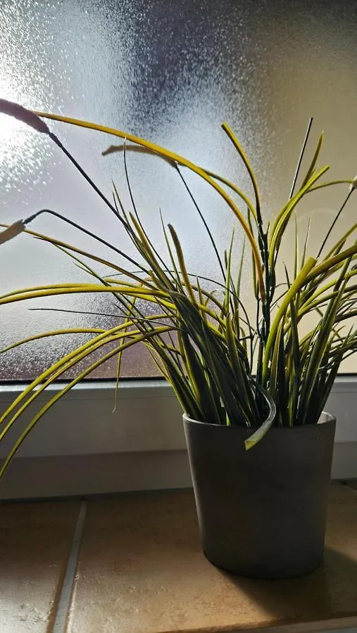 Zweite Heimat Bamberg - Ruhig Gelegen Mit Balkon Und Guter Anbindung Apartment Stegaurach